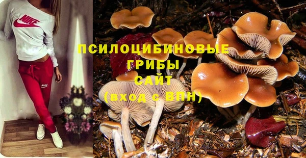 ешки Верея